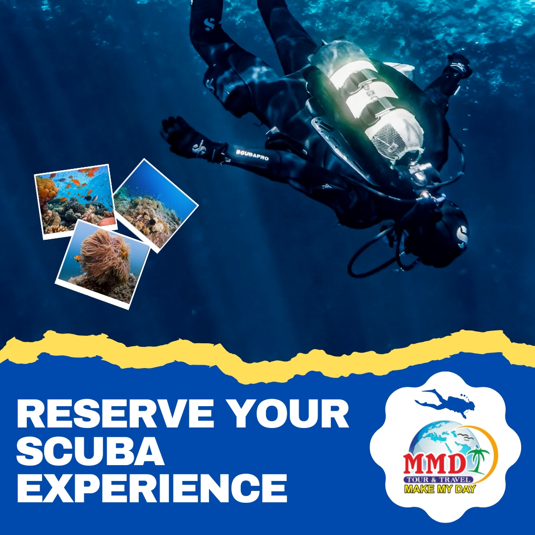 Scuba Diving Water Sports